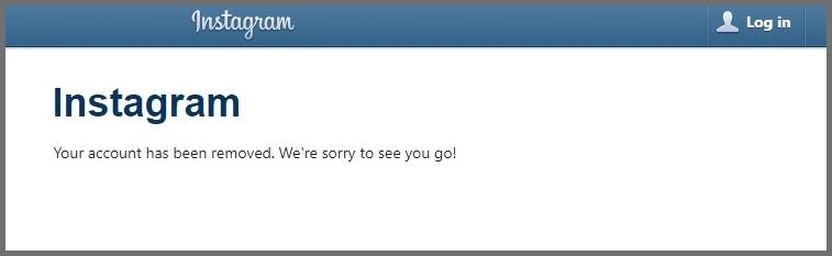 Your Instagram account has been removed successfully.