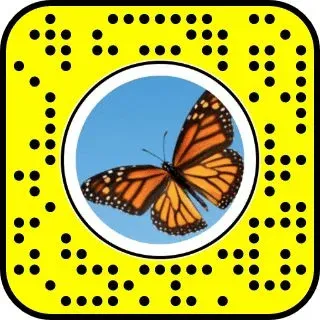 Unlock the Butterflies Lens Using the Snapcode